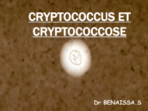 Cryptococcoses et Pneumocystose