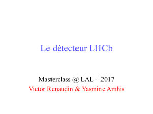 Le detecteur LHCb