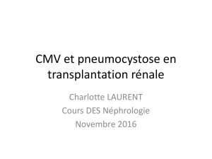 CMV et pneumocystose, infections courantes en
