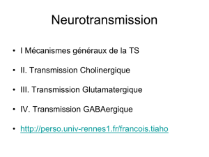 Neurotransmission-2013