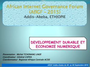 Economie numérique - African Internet Governance Forum