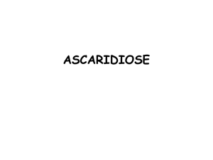 ascaridiose