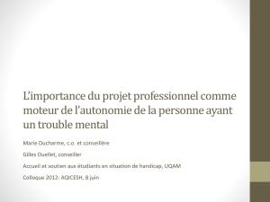 L`importance du projet professionnel comme moteur de l