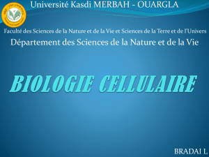 Cytologie Introduction - Université Kasdi Merbah Ouargla