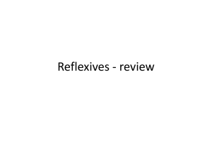 Reflexives - review agreement