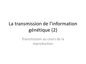 La_transmission_de_l..