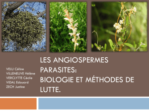 Les Angiospermes parasites