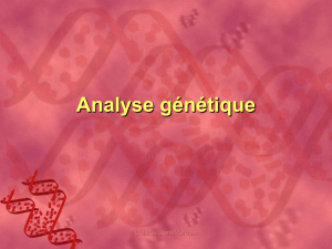 Analyse génétique - Collège Lionel