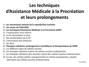 Assistance médicale à la procréation, L. Vanelslande