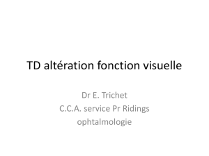 TD altération fonction visuelle
