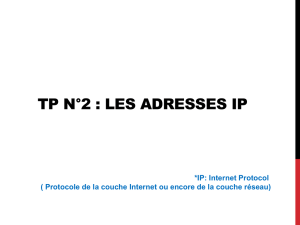 TP N°2 : Adressage IP