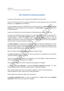 10/ Système cardiovasculaire - Fiches