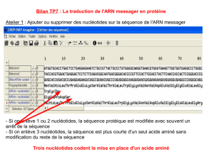 Bilan TP7 : La traduction de l`ARN messager en protéine Atelier 1