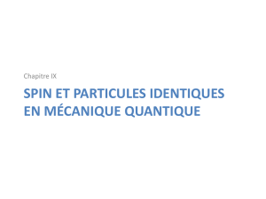 Spin et particules identiques en mecanique quantique - ENS-phys