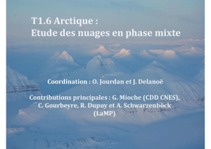 T1.6 Arctique : Etude des nuages en phase mixte