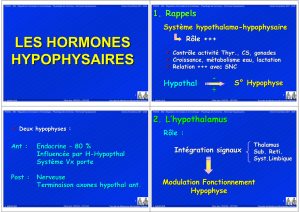 LES HORMONES HYPOPHYSAIRES