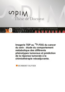 Imagerie TEP au F-FDG du cancer du sein : étude du