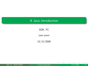 A Java introduction - Capsis