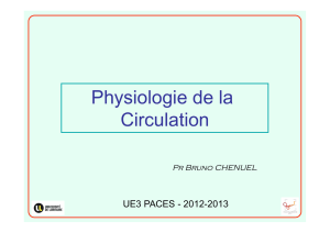 Physiologie de la circulation UE3 PACES (B. Chenuel) 2013.pptx