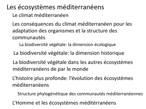 La biodiversité végétale des écosystèmes méditerranéens