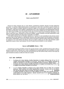 42 . lutjanidae - Horizon documentation-IRD