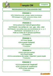 BdG-Lec-on-Conjugaison-2013