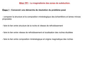 Bilan TP1 : Le magmatisme des zones de subduction. Étape 1