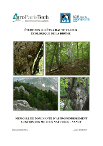 Etude des forêts à haute valeur écologique de la Drôme