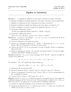 Algèbre et Géométrie