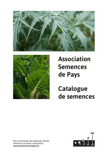 Association Semences de Pays Catalogue de semences