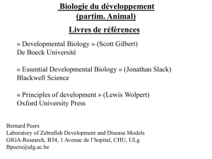Plan du cours « Biologie du développement - ORBi