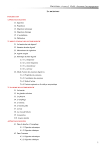 DIGESTION – LICENCE 2 STAPS – Document d