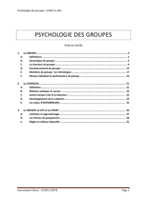 psychologie des groupes