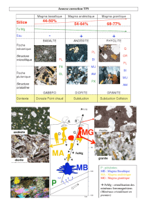 Annexe correction TP5 P : péridotites MB : Magma Basaltique MA
