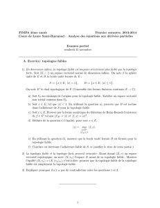Analyse des équations aux dérivées partielles partiel 2013-2014