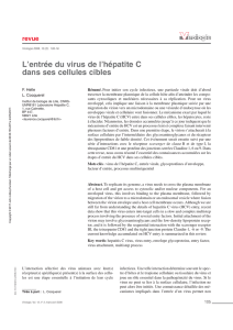 revue L`entrée du virus de l`hépatite C dans ses cellules cibles