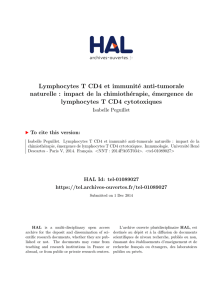 Lymphocytes T CD4 et immunité anti-tumorale naturelle : impact de