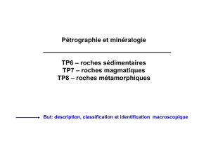 Pétrographie et minéralogie TP6 – roches sédimentaires TP7