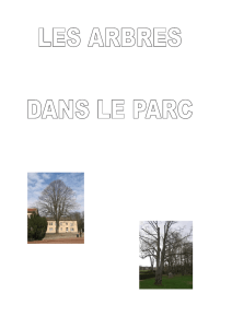 Les arbres du parc