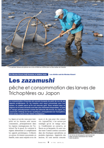 Les Zazamushi : pêche et consommation des larves de Trichoptères