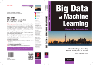 Big Data et machine learning