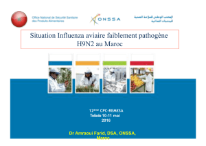Situation Influenza aviaire faiblement pathogène H9N2
