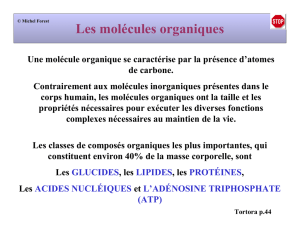 Molécule organiques