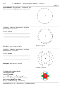 2. hexagone régulier et étoiles à 6 branches Feuille 1/1