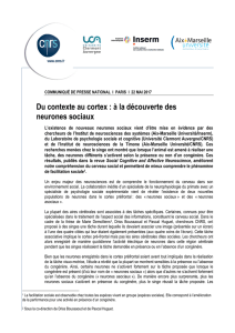 Du contexte au cortex : &agrave; la d&eacute;couverte des neurones sociaux