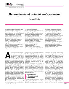 Déterminants et polarité embryonnaire - iPubli