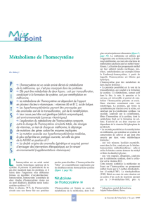 Métabolisme de l homocystéine