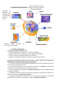 Les organites de la cellule humaine La membrane cytoplasmique