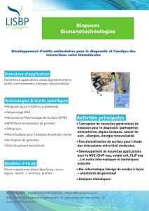 Poster Équipe Biopuces Bionanotechnologies
