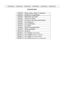 GÉOMÉTRIE GEOM 0 Points, lignes, droites et segments GEOM 1